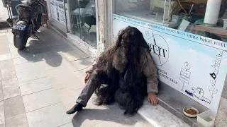 Thumbnail: HE WAS BURIED IN HAIR… Wait Until You See the Man Under That Beard | 10-Year Transformation