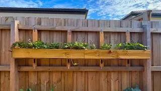 Thumbnail: How to Turn Your Fence into a Garden