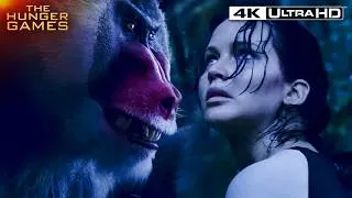 Thumbnail: Monkey Mutts Attack in the Jungle (Full Scene) | The Hunger Games: Catching Fire