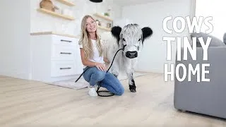 Thumbnail: Inside My Animals New Tiny House!