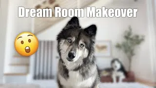 Thumbnail: I Built A Two Story Dream Room For My Dogs!