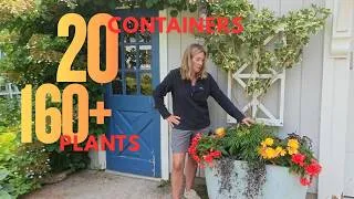 Thumbnail: The great container tour 2026