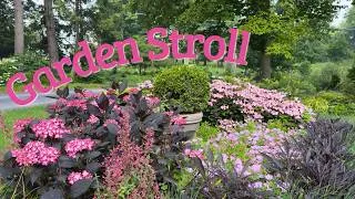 Thumbnail: Hydrangea heaven (with a side of sweet peas)