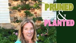 Thumbnail: Hydrangea swap with a side of espalier pruning
