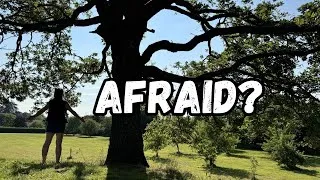 Thumbnail: What If You Run Out of Life Before You Run Out of Money?