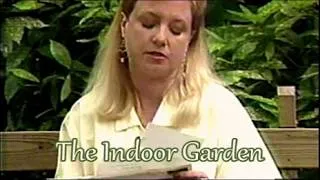 Thumbnail: Letters to the Show: Hot Tips for Houseplant Care in the Summer And Other Good Advice