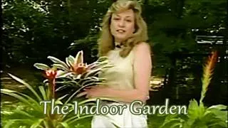 Thumbnail: How to Grow the Wondrous Terrestrial and Epiphytic Bromeliads Indoors