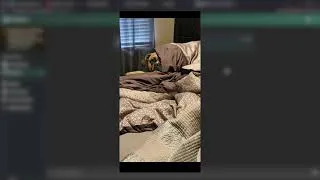 Thumbnail: Push Notifications in NTFY for SOAR