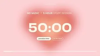 Thumbnail: 5-hour Pomodoro Timer for Studying 🩰🦢 Study Session with 10 min breaks | Aesthetic Focus Countdown