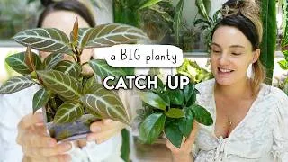 Thumbnail: New Plants, Pest Management, Growth Updates + Life 💚