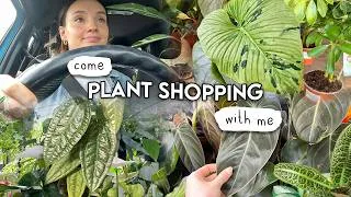 Thumbnail: Houseplant Road-Trip 🌱 Come Shopping With Me at 4 Garden Centres!