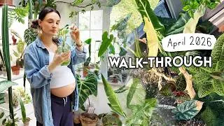 Thumbnail: Walkthrough My HOUSEPLANT Collection 🌿 Changes + Realistic Updates