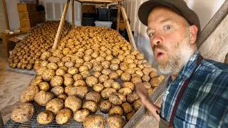 Thumbnail: Harvesting Hundreds of Pounds of Potatoes | No Root Cellar