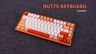 Thumbnail: Nut75 - Weikav update tính năng trong phân khúc giá rẻ ? #keyboard #mechanicalkeyboard #assem