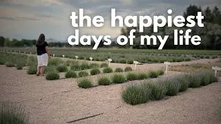 Thumbnail: Homemaking and Lavender Farming Inspiration