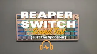 Thumbnail: Reaper Switches Sound Test - Spacebar ONLY | Aula F75