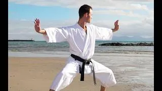 Thumbnail: Kata History #martialarts #kata