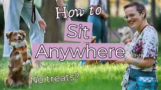 Thumbnail: How to Teach a Dog to Sit in Any Environment and Troubleshooting Dog Training Basics