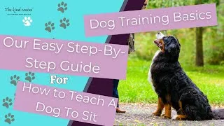 Thumbnail: Dog Training Basics: Our Easy Step-by-Step Guide for How to Teach a Dog to Sit  //THE KIND CANINE