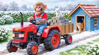 Thumbnail: Monkey NaNa Winter Rescue Turns CHAOTIC…The Cat Shelter Collapses—His Smart Build SHOCKS Everyone!