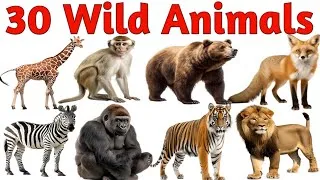 Thumbnail: 30 Wild Animal Names in English and Hindi | 30 Wild Animal Names | Wild Animals for Kids