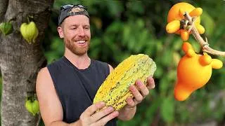 Thumbnail: I Found Some Crazy Fruits Around Lake Toba