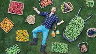 Thumbnail: I Grew WAY Too Much Fruit… Here’s What I Did With It
