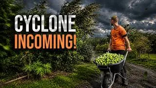 Thumbnail: Harvesting 100s of Fruits... Then the Cyclone Arrived