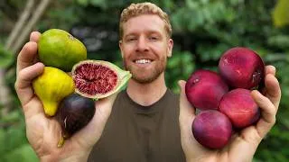 Thumbnail: Fruit Is Falling Faster Than I Can Pick It!