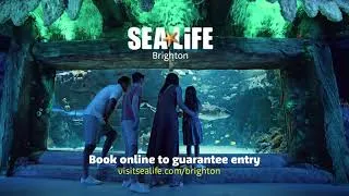 Thumbnail: Sea Life Brighton TVC