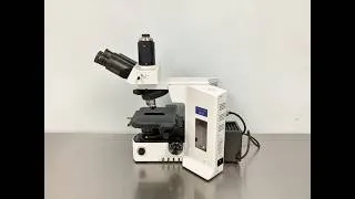 Thumbnail: Olympus BX 51 Microscope ID 30779