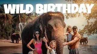 Thumbnail: It’s your Birthday…DO THIS! 