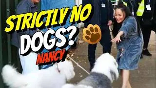Thumbnail: STRICTLY NO DOGS ALLOWED NANCY!!
