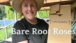 Thumbnail: Planting bare root roses so the garden will be filled with gorgeous blooms