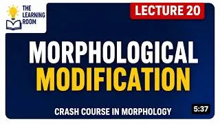 Thumbnail: Morphological Modification | Crash Course in Morphology | Lecture 20 (Final) #morphology #linguistic