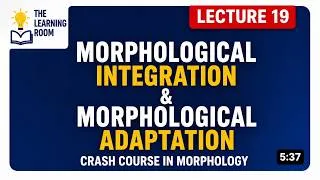 Thumbnail: Morphological Integration vs Morphological Adaptation | Loanwords in Morphology | Language Contact