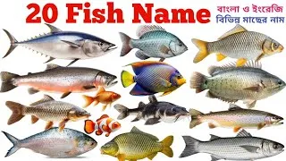 Thumbnail: Fish Name In English & Bengali | 20 Fish Name With Picture | Kids Learning Video | Preschool Toddler