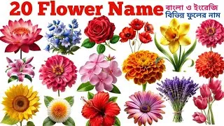 Thumbnail: Flower Name In English 🌻🌺| 20 Flower Name With Picture For Kids | Preschool Toddler Learning video |