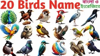 Thumbnail: Birds Name In English & Bengali | Kids Learn 20 Bird Name With Picture | Birds Name For Kindergarten