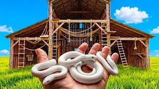 Thumbnail: I Built a Barn for Snakes