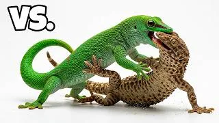 Thumbnail: I Accidentally Started a Lizard War!