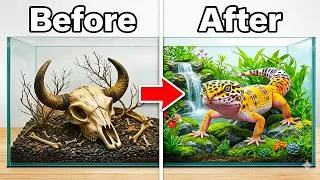 Thumbnail: I Transformed an Abandoned Lizard's Home