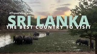 Thumbnail: SRI LANKA Travel Vlog | Yala National Park Safari | Mawella beach | Day in Galle