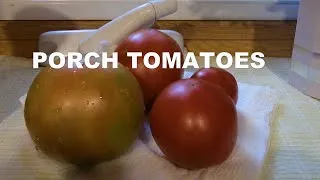 Thumbnail: How to Grow TOMATOES on the PORCH