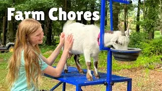 Thumbnail: Productive summer days on the farm | Realistic farm vlog