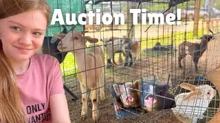 Thumbnail: Did we bid?! There were SO many Animals at this auction!