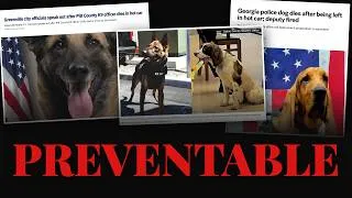 Thumbnail: Police Dogs Are Dying in Hot Cars