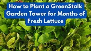 Thumbnail: How to Plant a GreenStalk   Garden Tower for Months of Fresh Lettuce