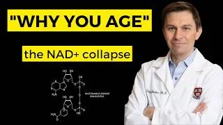 Thumbnail: What Dr. David Sinclair Says Is Really Making You Age (The NAD+ Story)