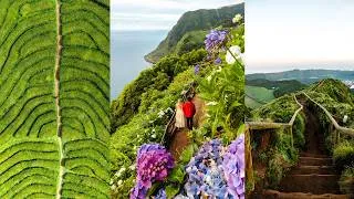 Thumbnail: The PERFECT 5-Day São Miguel Itinerary (Azores Travel Guide)